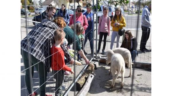 Sokan voltak kíváncsiak a beledi húsvétváró rendezvényre