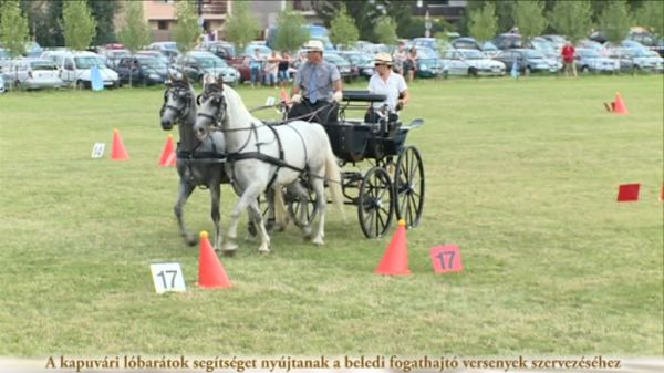  A kapuvári lóbarátok segítséget nyújtanak a beledi fogathajtó versenyek szervezéséhez