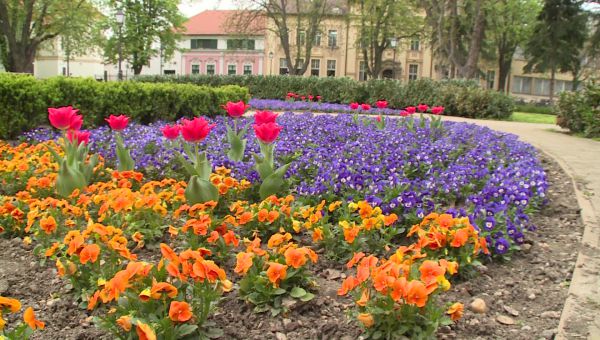 Németh D. László ügyvezető-igazgató a Kapukom Kft. tevékenységéről beszélt